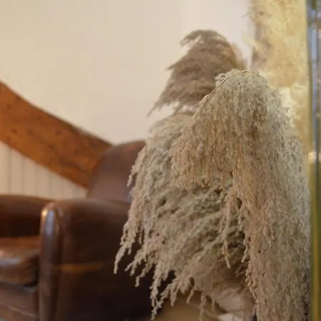 El Niu - Hyper Centre פרפיניין